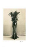 Buy Floral #4 at AllPosters.com