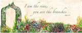 Arbor: the Vine