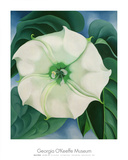 Buy Jimson Weed, 1932 at AllPosters.com