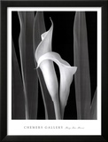 Buy Embrace at AllPosters.com