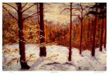 Buy The Red Forest at AllPosters.com