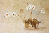 Orchids in a Chinese Bowl