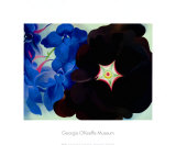 Black Hollyhock Blue Larkspur, 1930