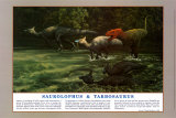 Saurolophus & Tarbosaurus