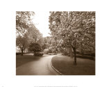 Buy April in Paris I at AllPosters.com