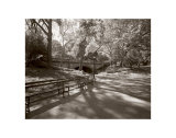 Buy May in Manhattan I at AllPosters.com