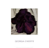 Purple Petunia, 1925