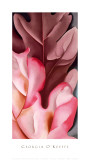 Buy Oak Leaves, Pink & Gray, 1929 at AllPosters.com