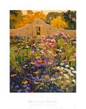 Adobe Compound Garden