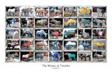 Moose of Toronto