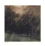 Buy Nest Series I at AllPosters.com