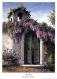 Wisteria