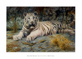 White Tiger