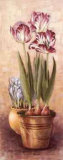 Buy Flowering Bulbs I at AllPosters.com