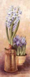 Buy Flowering Bulbs II at AllPosters.com
