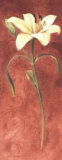 Buy Day Lily at AllPosters.com