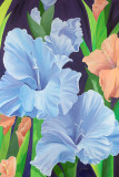 Blue Gladioli