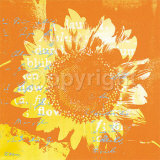 Buy Heliantype Orange Blue at AllPosters.com