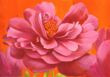 Buy Think Pink at AllPosters.com
