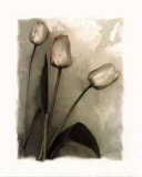 Buy Tulips I at AllPosters.com