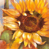 Buy Head of the Sun at AllPosters.com
