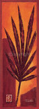 Buy Sunrise at AllPosters.com