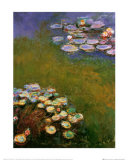 Water Lilies, Harmony in Blue