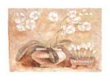 Buy White Orchid at AllPosters.com