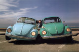 Buy Beetles at AllPosters.com