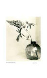 Buy Floral #1 at AllPosters.com