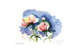 Peonies