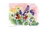 Buy Pink Pansies at AllPosters.com