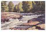 The Swimming Hole