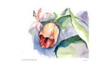 Buy Tulips with Purple at AllPosters.com