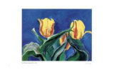 Buy Baroque Tulips at AllPosters.com