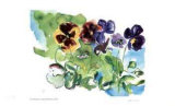 Buy Spring Garden / Pansies at AllPosters.com