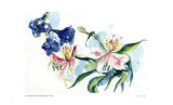 Pink and Blue Flowers