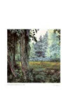 Buy Behind the House at AllPosters.com