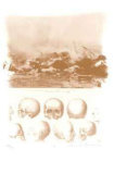 Buy V at AllPosters.com