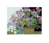 Anemones