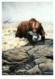 Northwest Legend - Grizzly Bear
