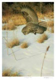 Buy Hunting for Voles at AllPosters.com