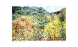Buy Colors of September at AllPosters.com
