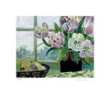 St. Tropez Tulips