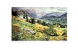 Buy An Alberta Summer at AllPosters.com