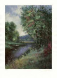 Buy The Brook at AllPosters.com