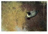 Loon Tapestry