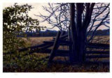 Buy Along the Rail at AllPosters.com
