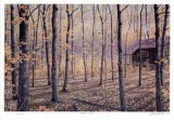 Buy Woodland Retreat at AllPosters.com