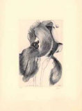 Buy An Iris for Lisa at AllPosters.com